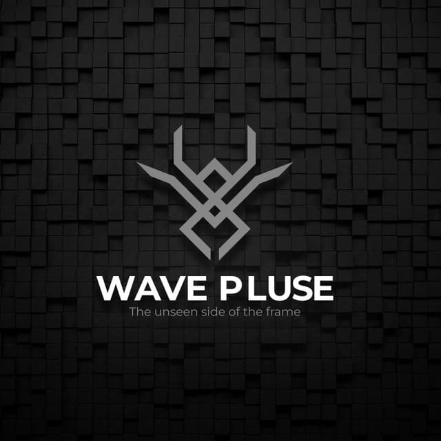 Artist - Wave Pluse