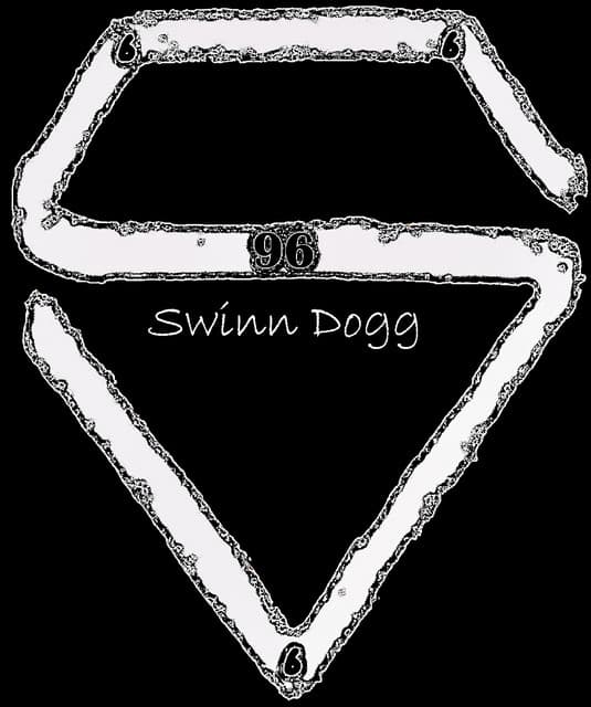 Artist - Speed Brain