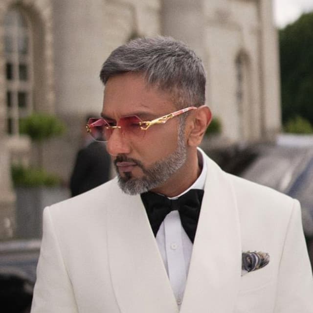 Artist - Yo Yo Honey Singh