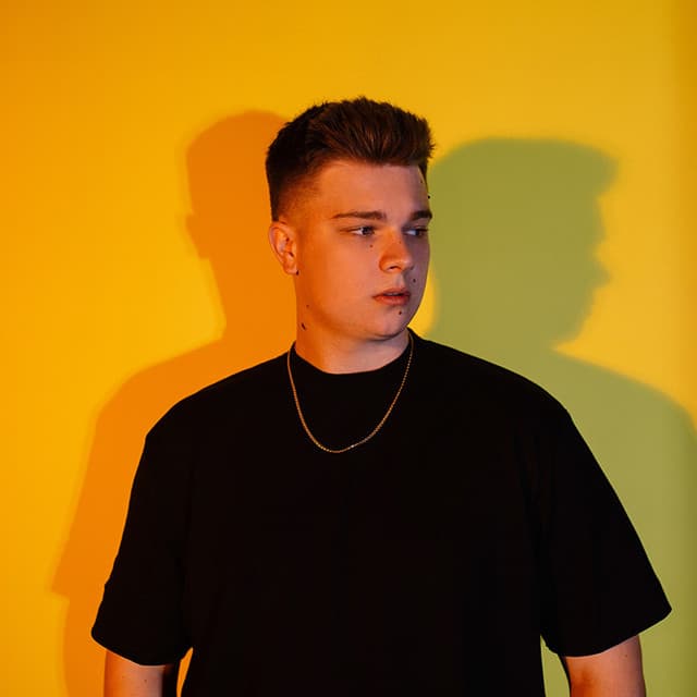 Artist - Гербер