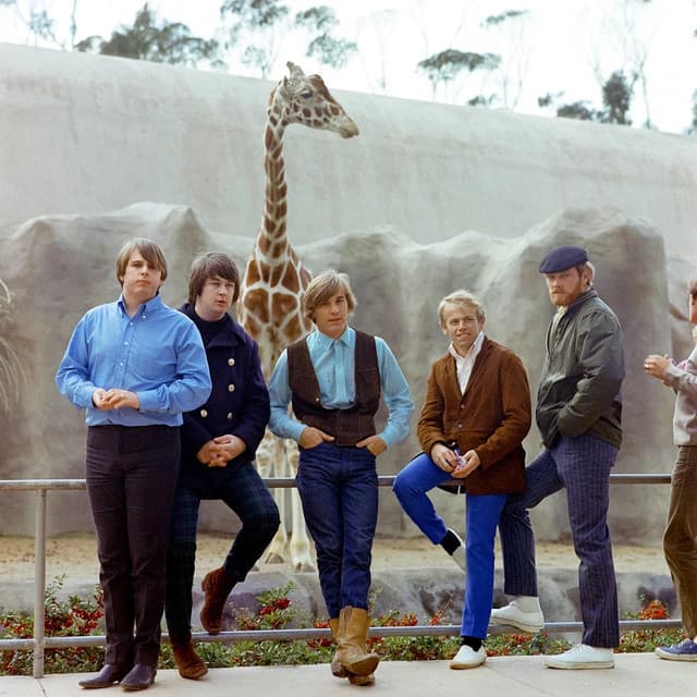Artist - The Beach Boys