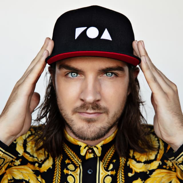 Artist - Reinier Zonneveld