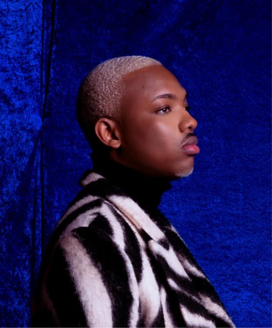 Artist - Lionel Nidaud