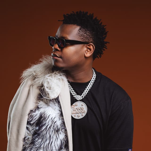 Artist - Bruce Melodie