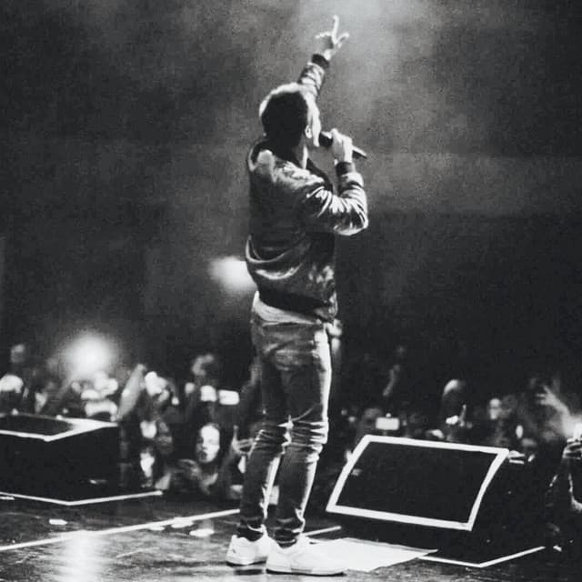 Artist - Nikolajs Puzikovs