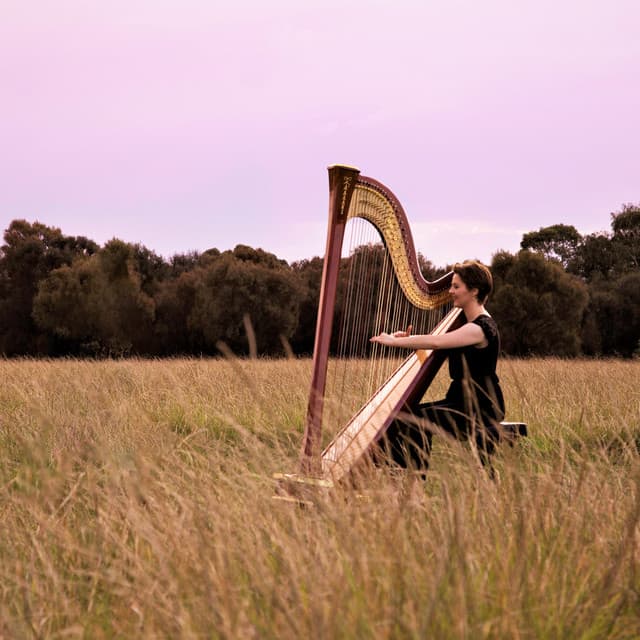 Artist - Sarah Frances