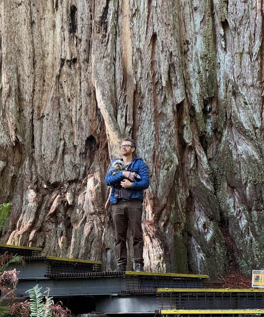 Artist - Straight White Teeth