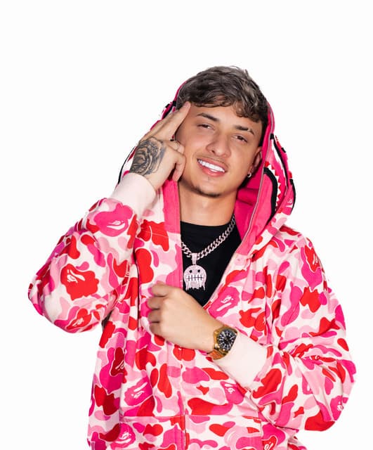 Artist - Dj Luan Gomes