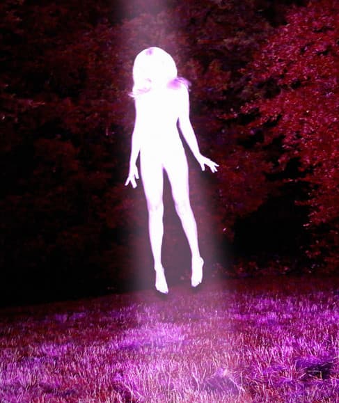 Artist - Sidewalks and Skeletons