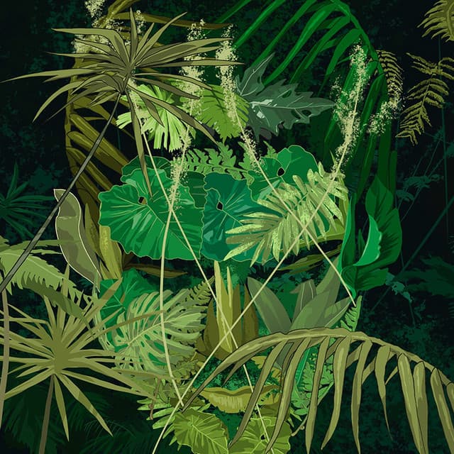 Artist - Szakács Gergő