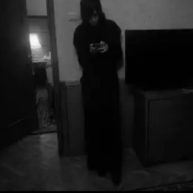 Artist - королевский XVII