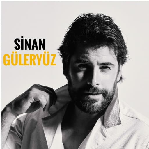 Artist - Sinan Güleryüz