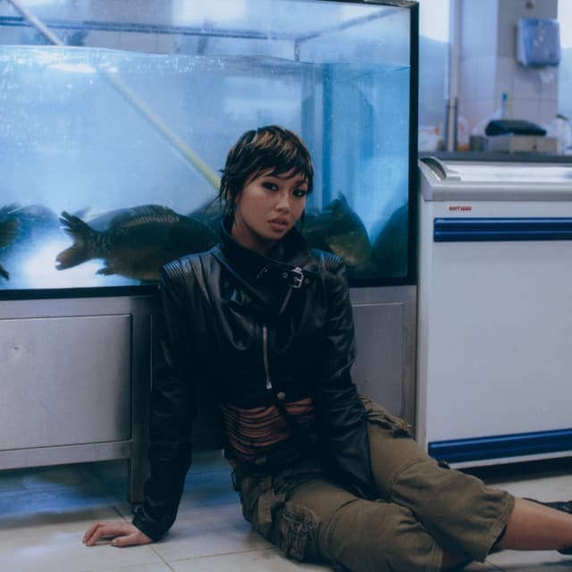 Artist - beabadoobee