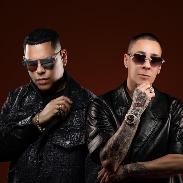 Artist - Baby Rasta y Gringo