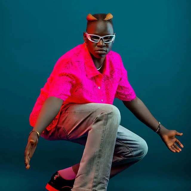 Artist - Slatine Pro