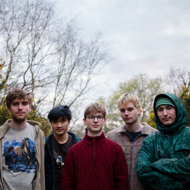 Artist - The Long Faces