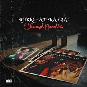 Changé Numéro (feat. Ameka Zrai)