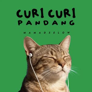 CURI CURI PANDANG (Remix)