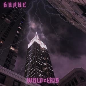 Shake It To The Max (FLY) [Remix]