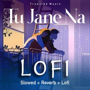 Tu Jane Na Lofi