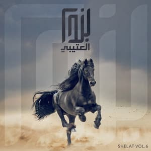 Song - جاتكم شيخة عربها