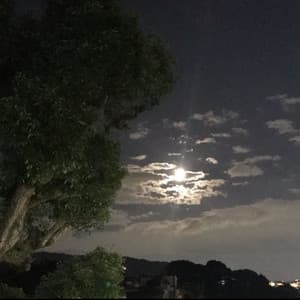 Song - Blink of a Star