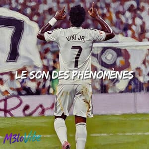 VINI JR - LE SON DES PHÉNOMÈNES