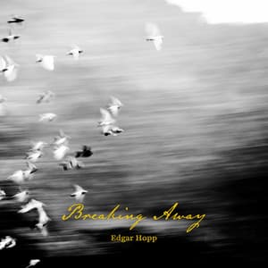 Edgar Hopp - The Pyramide