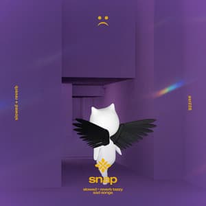 snap (slowed + reverb)