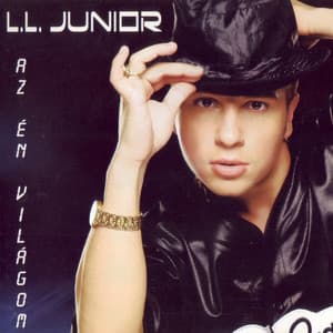 Song - Mr. Raggamoffin