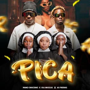 Pica Me Pica