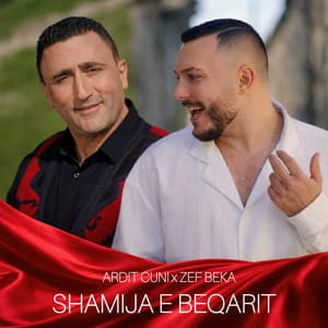 Shamija e Beqarit