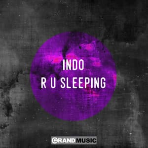 R U Sleeping (Bump 'n' Flex Remix)