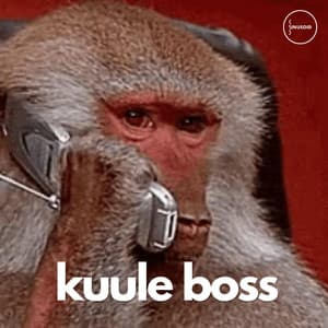 kuule boss