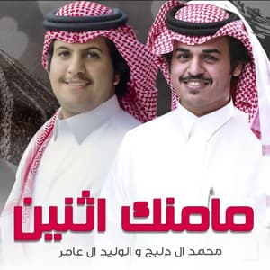 مامنك اثنين (feat. الوليد ال عامر)