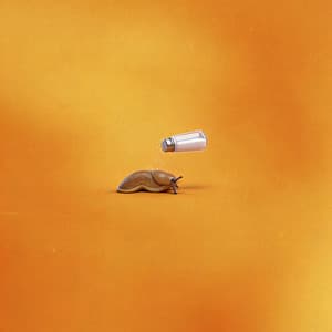 Song - Na Lesma É Sal (feat. MC Tuto, Kako & Mc Dkziin)