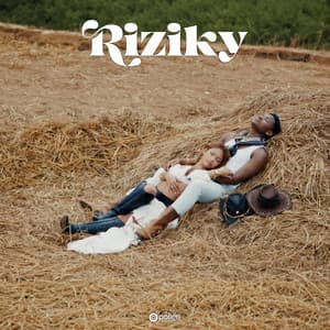 Riziky