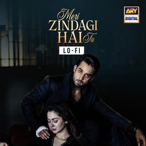 Song - Meri Zindagi Hai Tu (Lo-Fi)