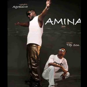 Song - Amina (feat. Top son)