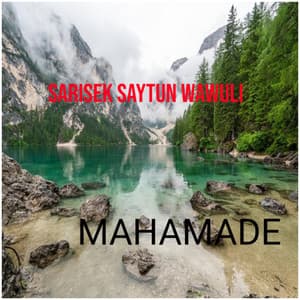 Sarisek saytun wawuli