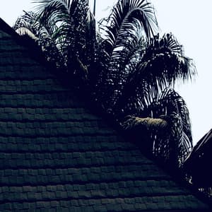 Assthrownut - Lovely (summer reverb)