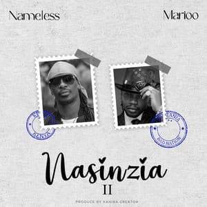 Nasinzia II