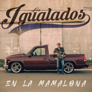 Song - En la mamalona