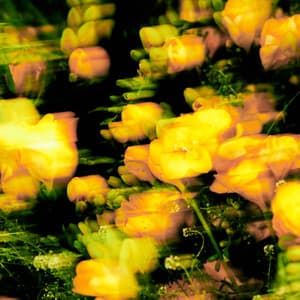 Good Day (feat. Jay Park & 1iL)