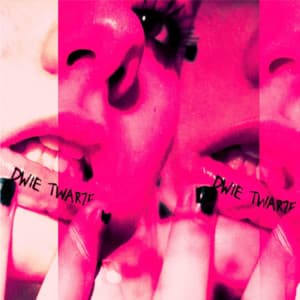 Song - Dwie twarze (feat. Rojber)