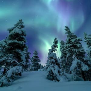 Ashreveal & Ashish Swargiary - Manasha (Over Slowed)