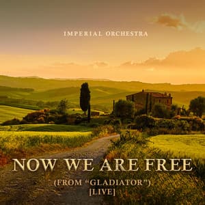 Imperial Orchestra - Now We Are Free (From "Gladiator") [Live]