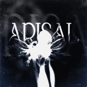 NØIVIK - Arisal (Slowed)