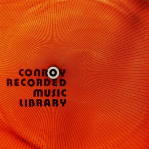 Jon Jelmer - Hawaiian Flower