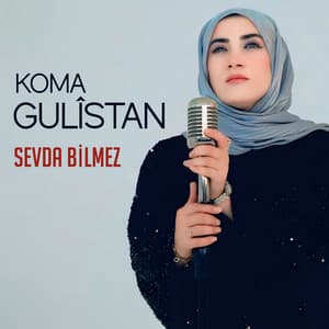 Song - Sevda Bilmez